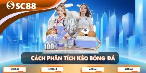 Cách Phân Tích Kèo Bóng Đá - Bí Quyết Đọc Vị Trận Đấu Chính Xác